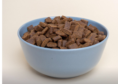 애완동물 간식 구독 서비스 ‘BarkBox’의 감성 마케팅 전략