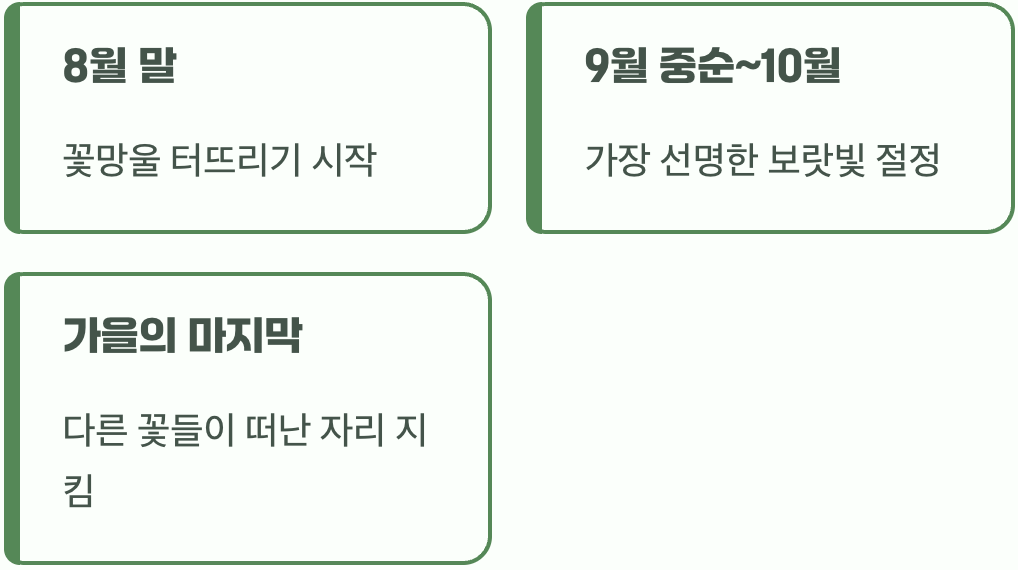 깊은 가을의 전령사