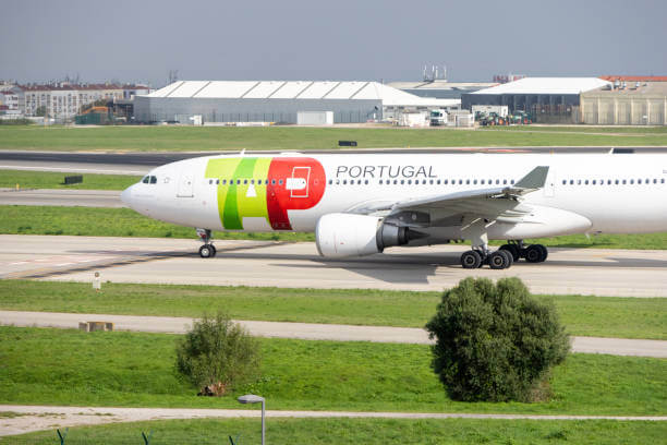 개인통관고유부호 조회 발급 재발급 방법