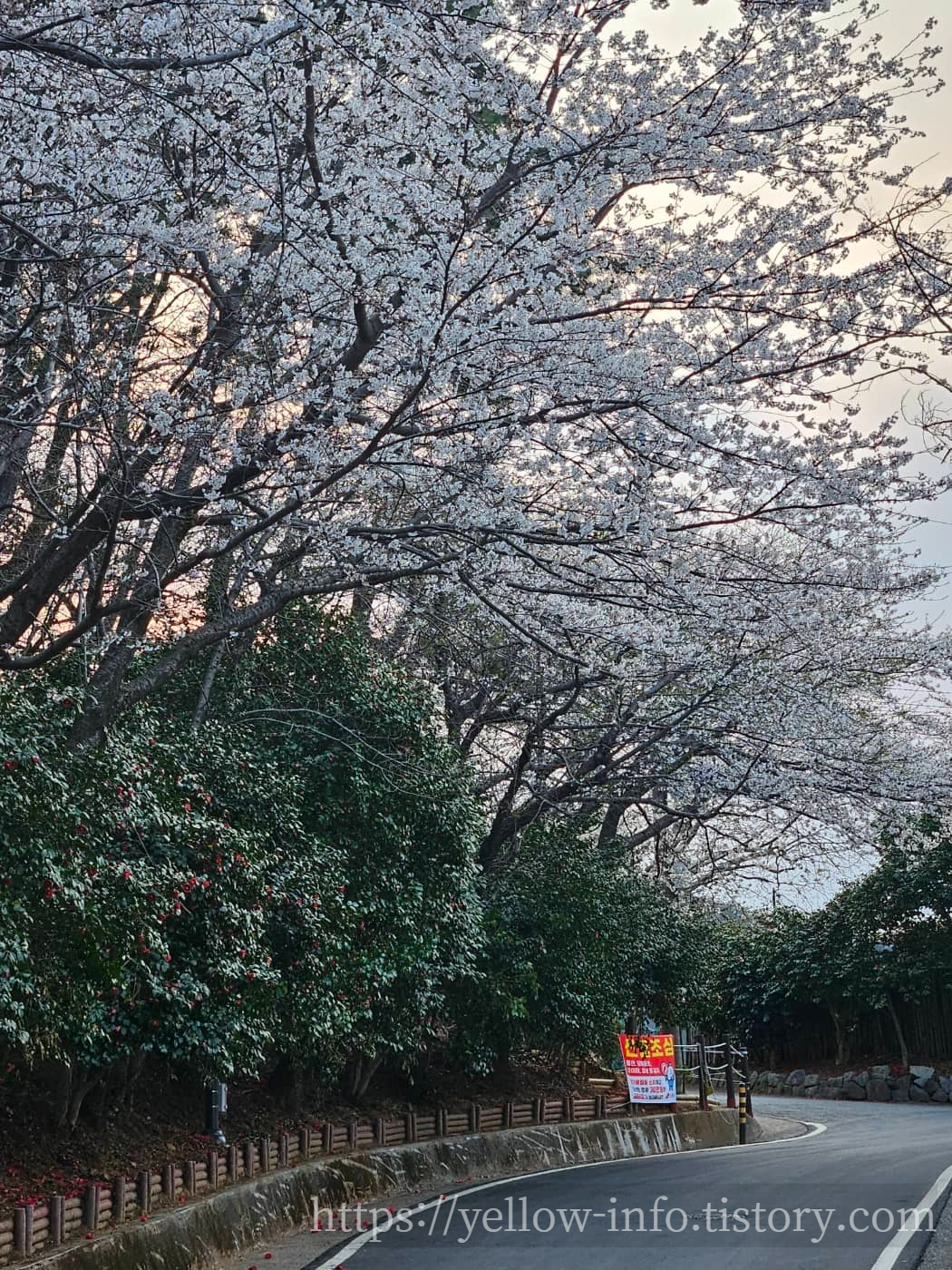 장승포 해안일주도로