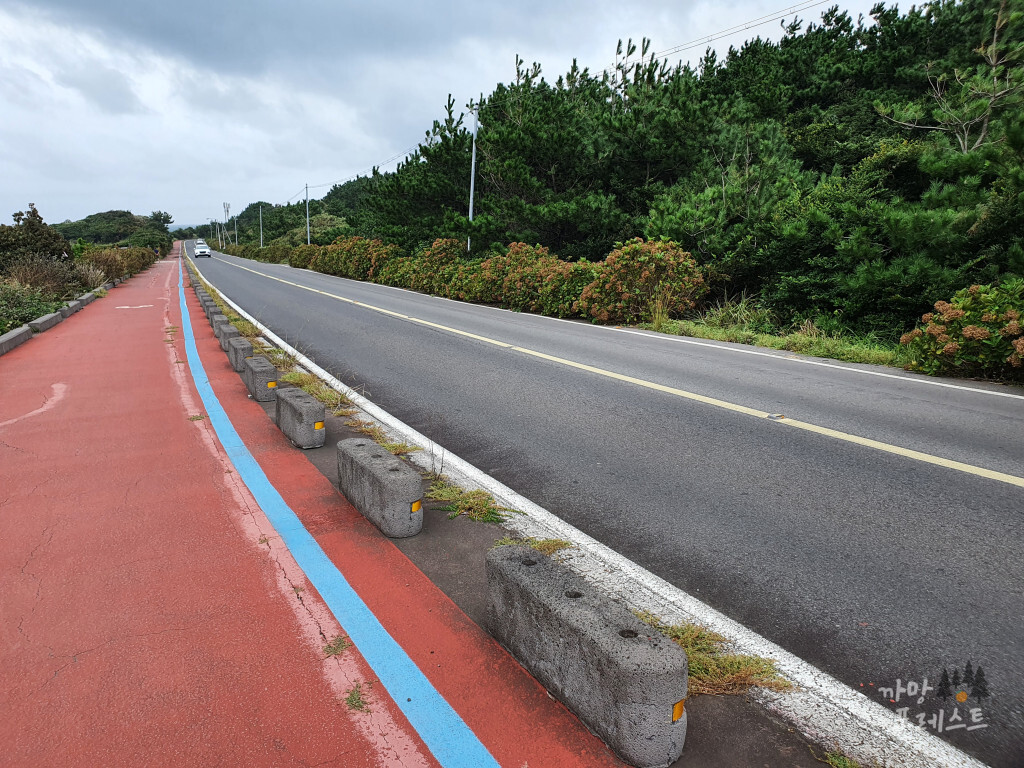 제주 고망난 돌 갓길주차 어려움