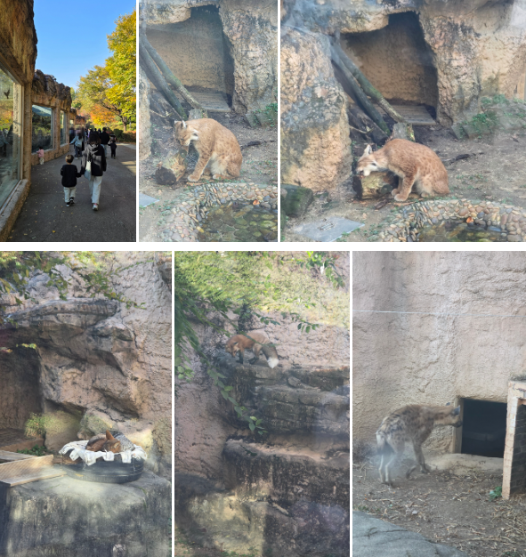 서울어린이대공원 동물원 가을 나들이 (무료입장/관람 코스)