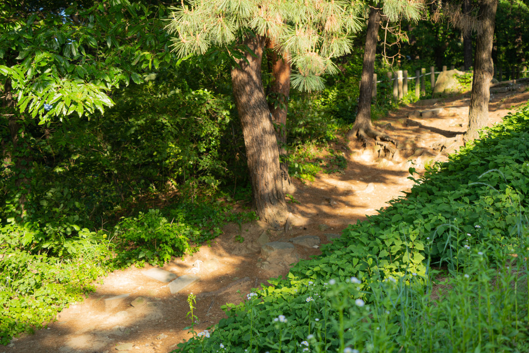 수원 팔달산 팔달산 올라가는길