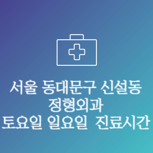 서울 동대문구 신설동 정형외과 주말 토요일 일요일 문여는 병원 진료시간