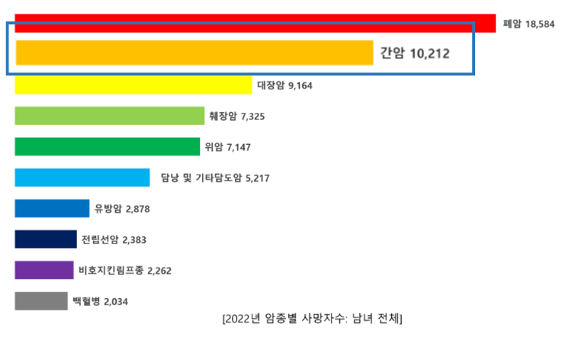 밀크씨슬 밀크시슬 간 영양제 건강 쏜리서치 SAT 자로우 jarrow 캘리포니아골드 에너씨슬 대웅제약 실리마린 인데나 실리빈