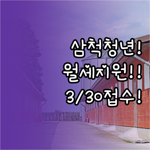 삼척시 청년월세 지원 3월 30일부터..