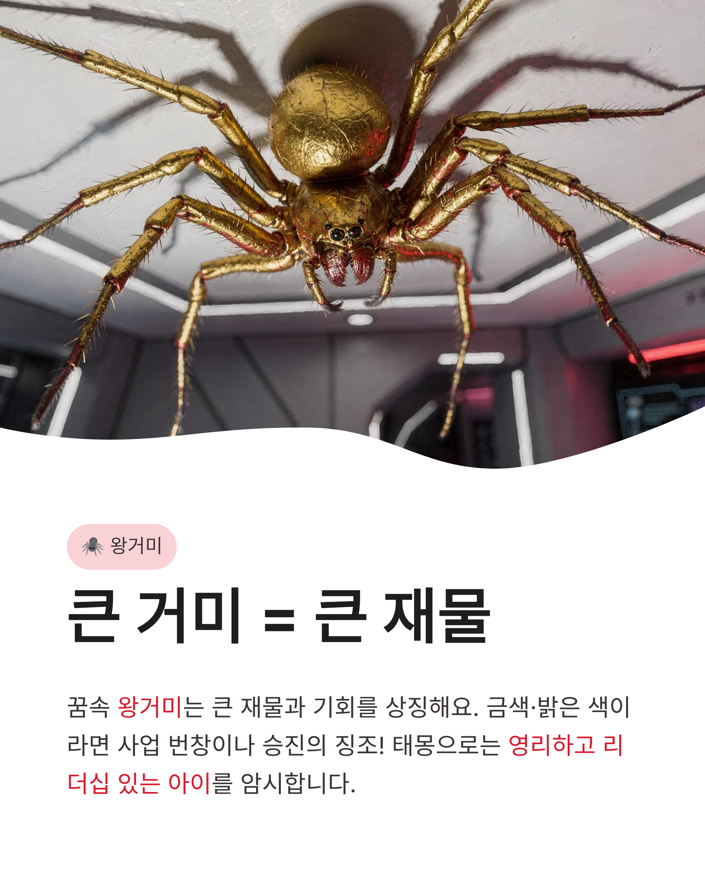 거미꿈 해몽, 왕거미부터 거미줄까지! 재물운과 태몽의 비밀은 무엇일까요?