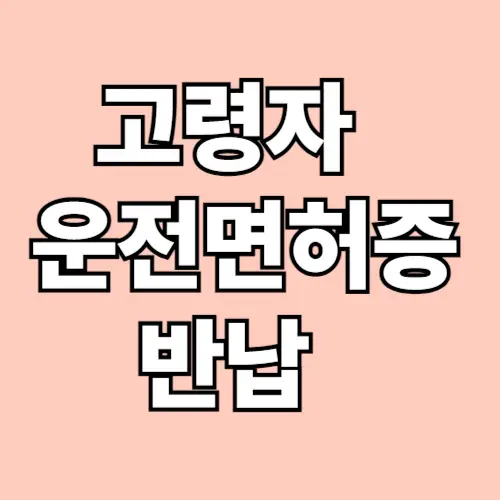 고령자 운전면허증 반납