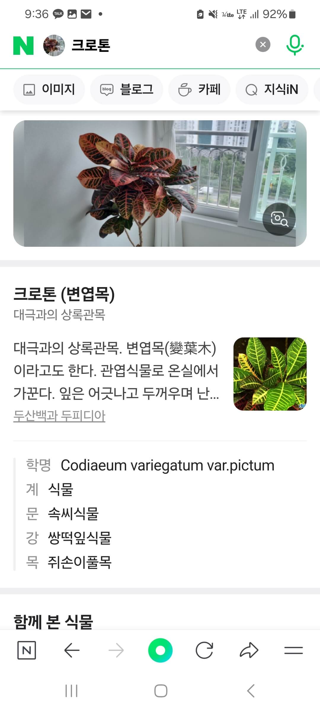 네이버 렌즈 사용