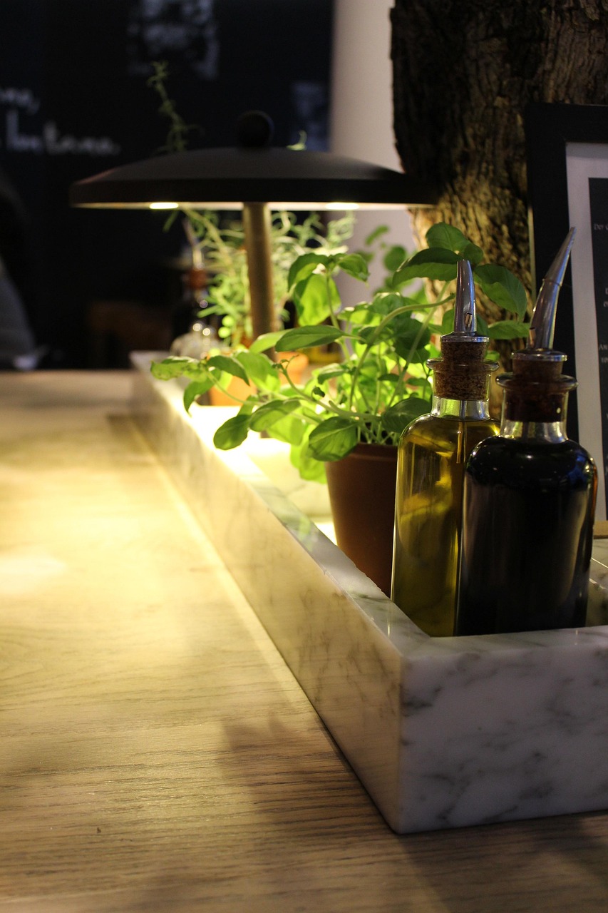 추론 오류는 언제 발생하는가 인지과학이 말하는 &lsquo;전제-규칙-검증&rsquo;이 무너지는 순간들