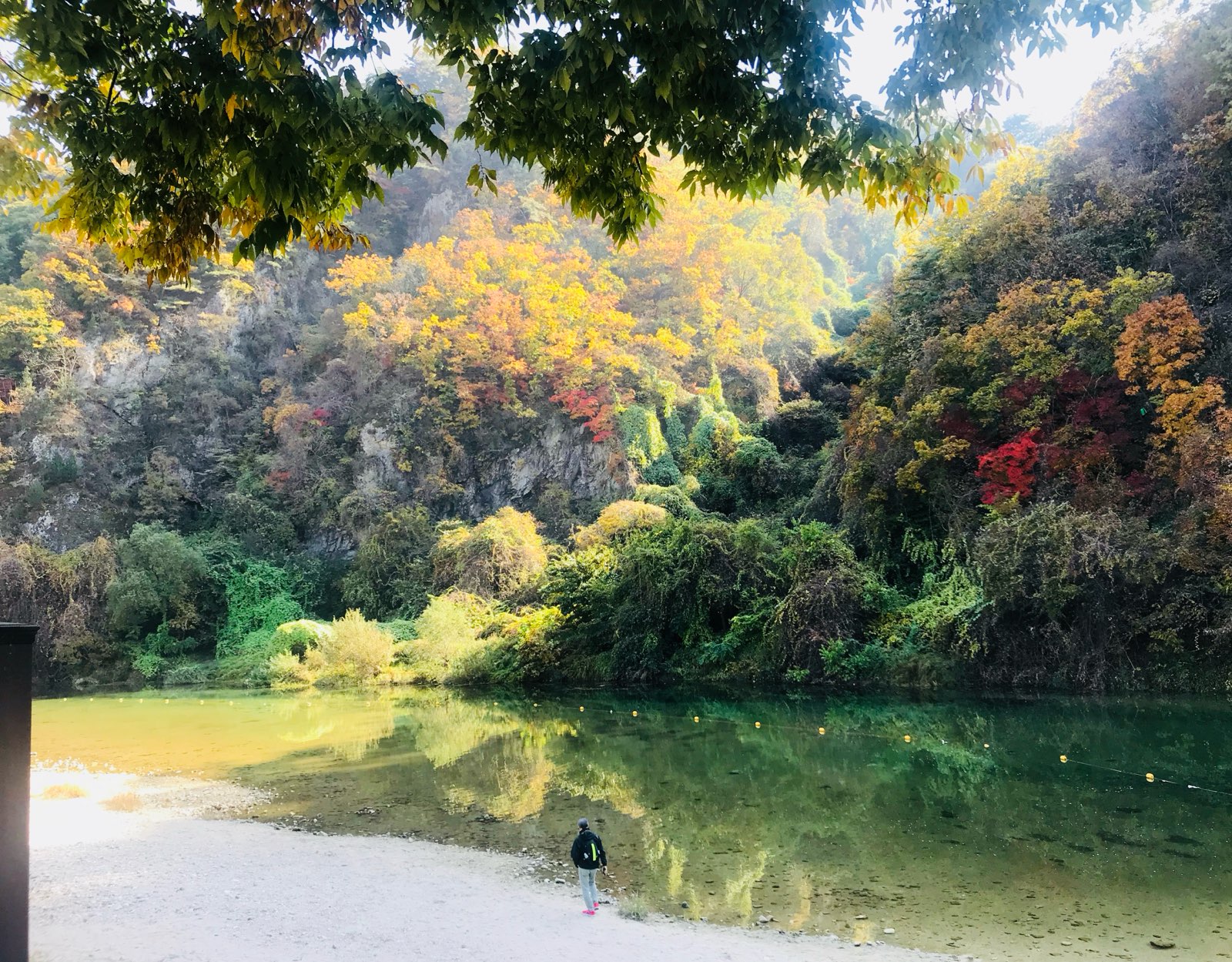 원주 소금산 단풍