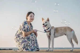 행복한 반려견 맞이하기 나에게 맞는 강아지 선택 가이드_24
