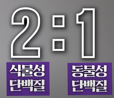 식물성 단백질과 동물성 단백질 비율