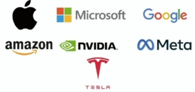 미국의 대표 7개 기술주 메그니피센트7