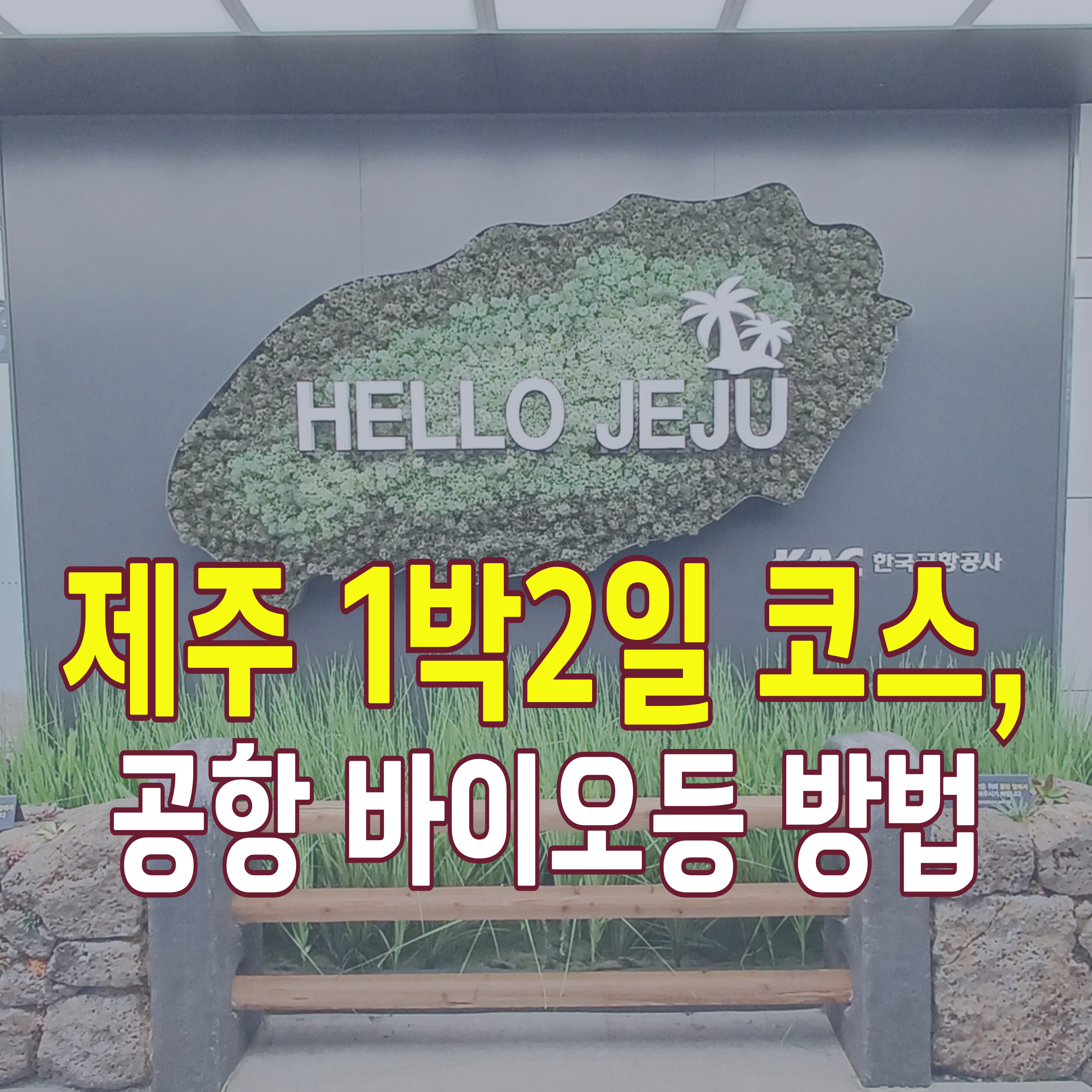 제주도-여행코스-1