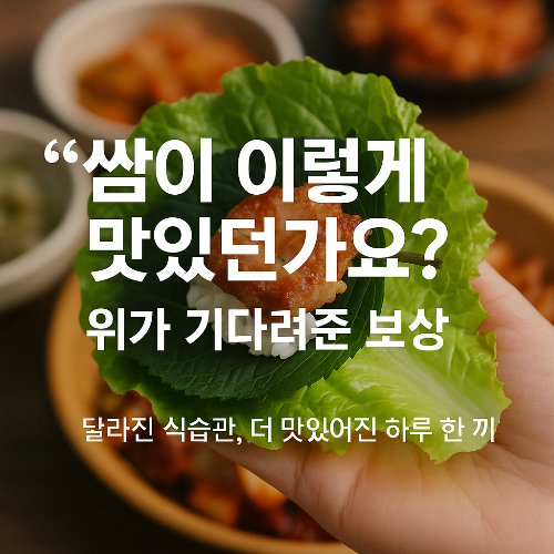 Alt 속성 문제 해결 설명 이미지