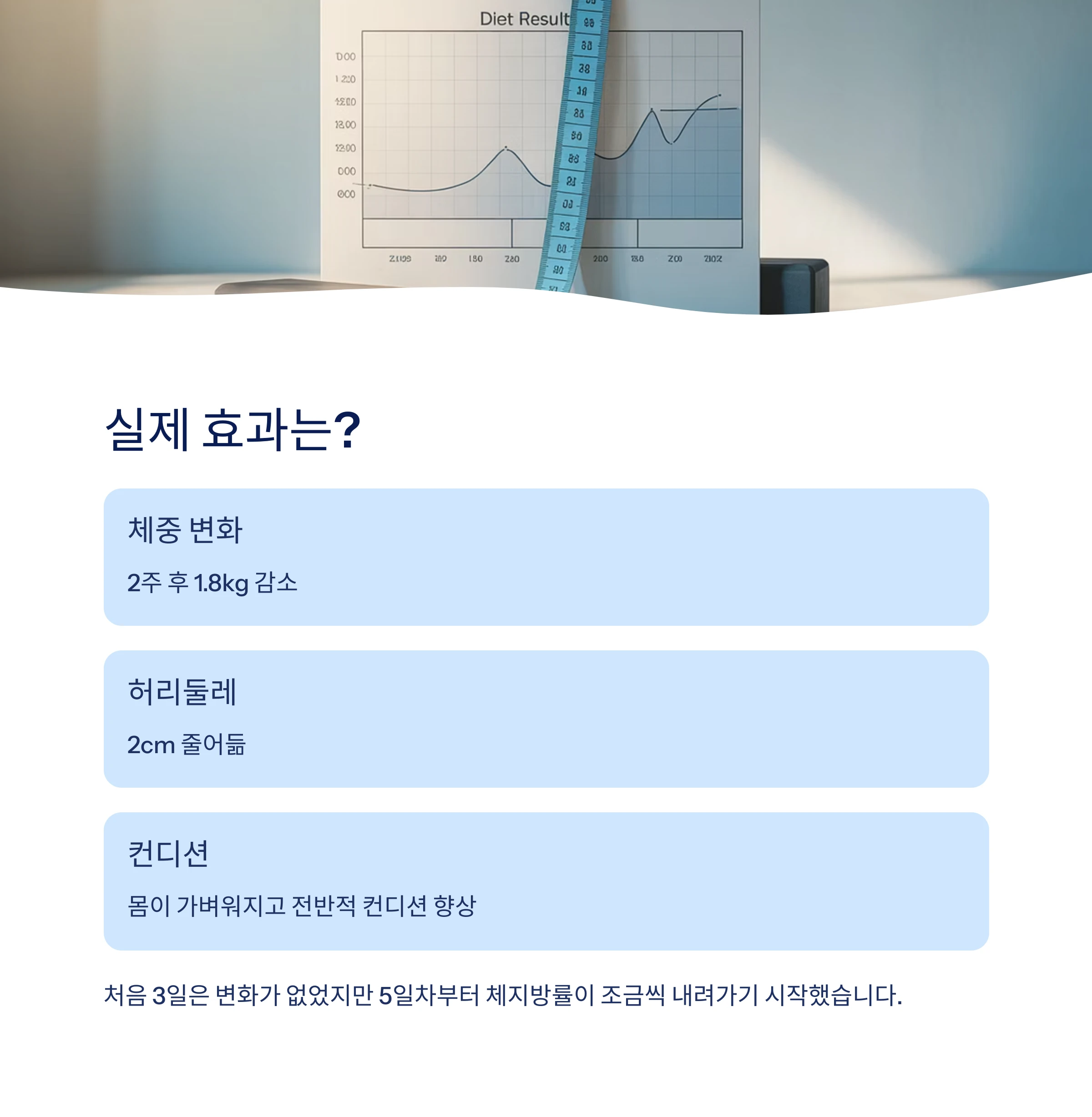 다이어트루틴