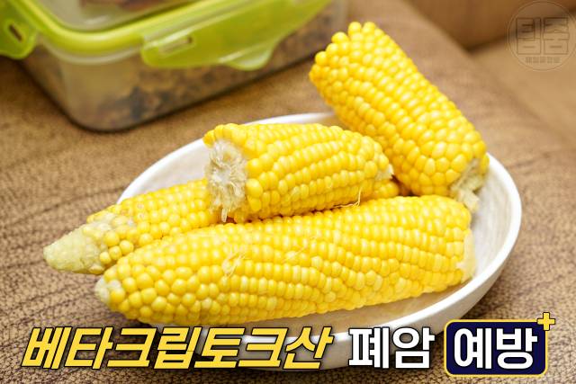 니코틴 배출 음식 옥수수 니코틴배출기간