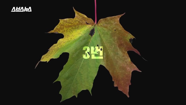 30대 후반 여성 급노화, 얼굴 주름살, 피부관리, 자기관리, 건강 뷰티 팁줌 매일꿀정보