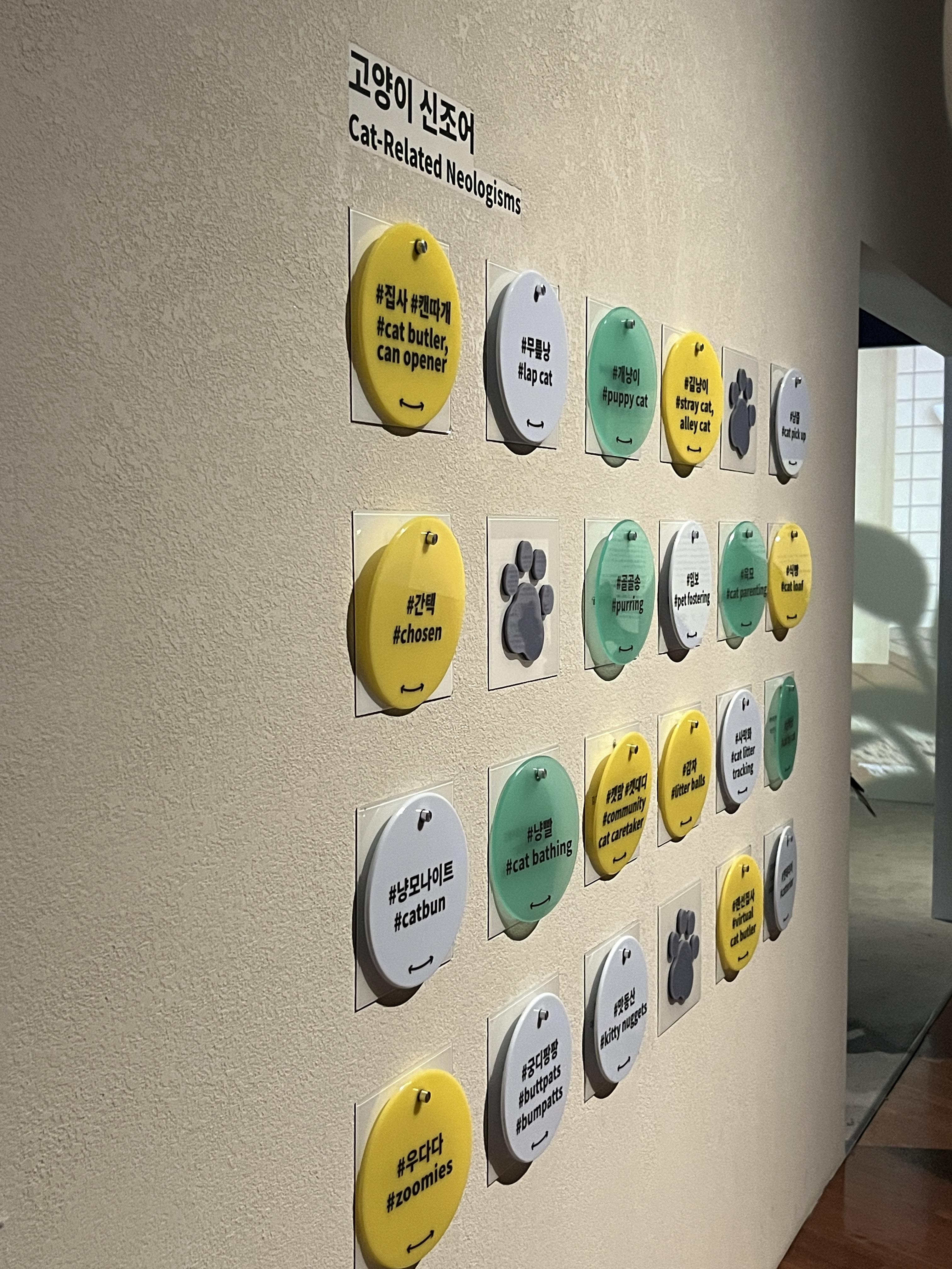 요물 우리를 홀린 고양이