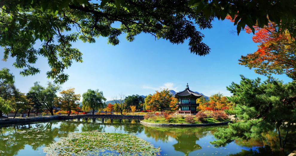 경복궁 야간개장