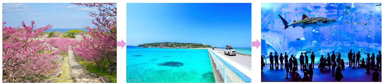 오키나와 드라이브 코스 추천