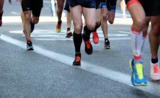 서울 월리런 2026 일정 접수 신청 방법 안내