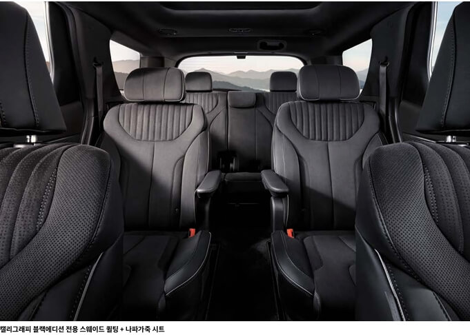 펠리세이드 팰리세이드 풀체인지