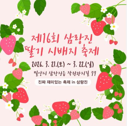 밀양 벚꽃