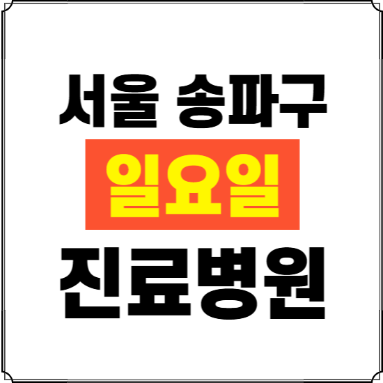 서울 송파구 일요일 진료병원 찾기 ❘ 24시 휴일 주말 응급 야간 심야 문여는 병원