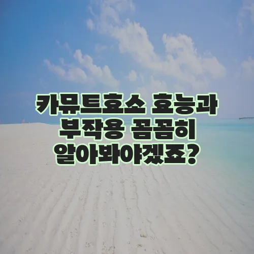 카뮤트효소 효능과 부작용 꼼꼼히 알아봐야겠죠?