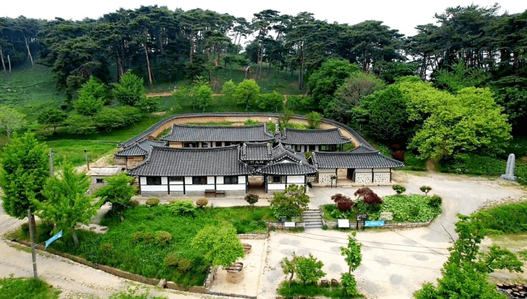 서산 유기방가옥 수선화 축제