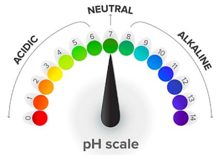 수소이온 농도 이미지