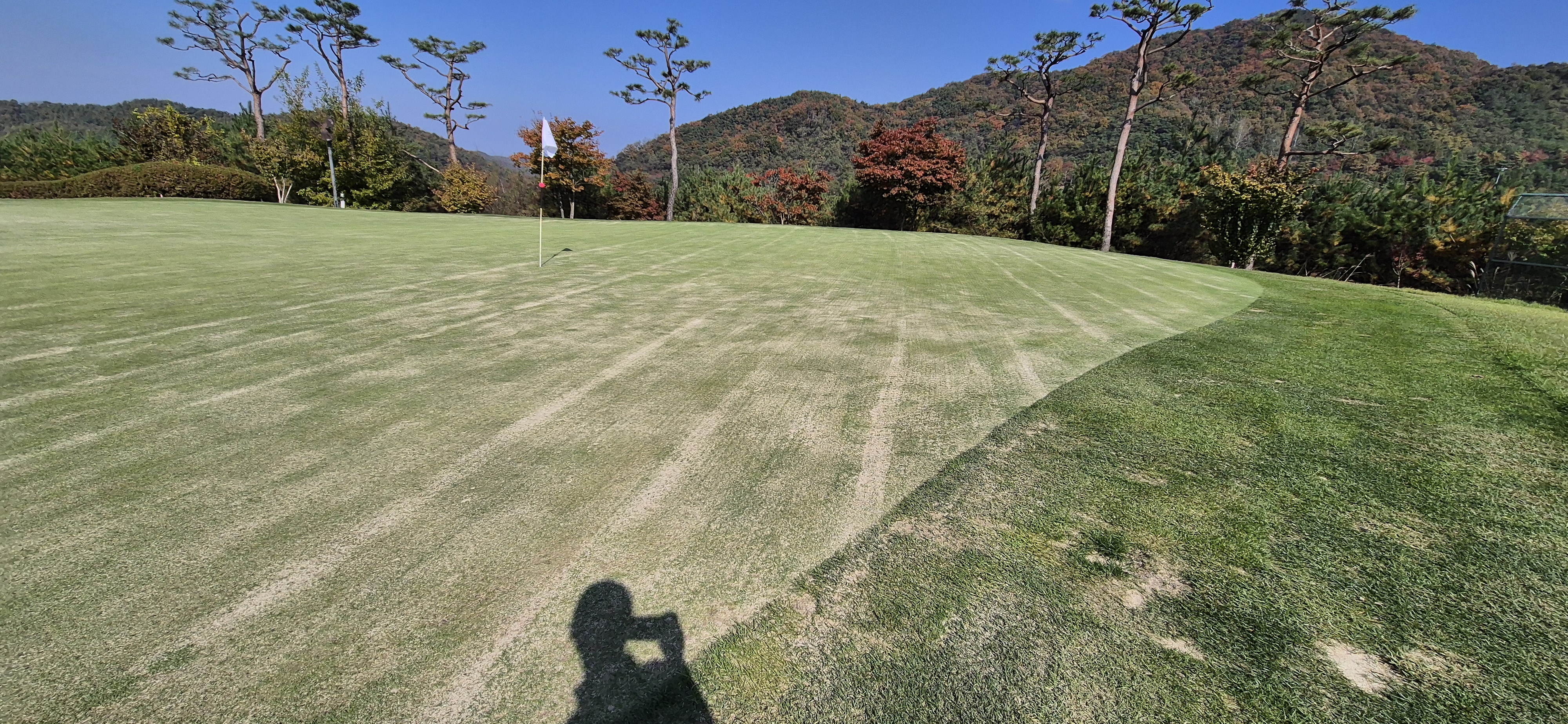 소피아그린cc