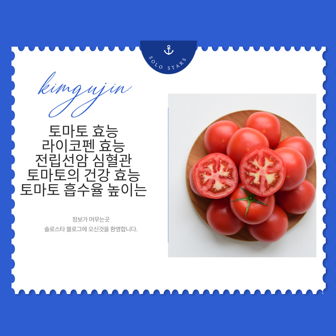 토마토 사진