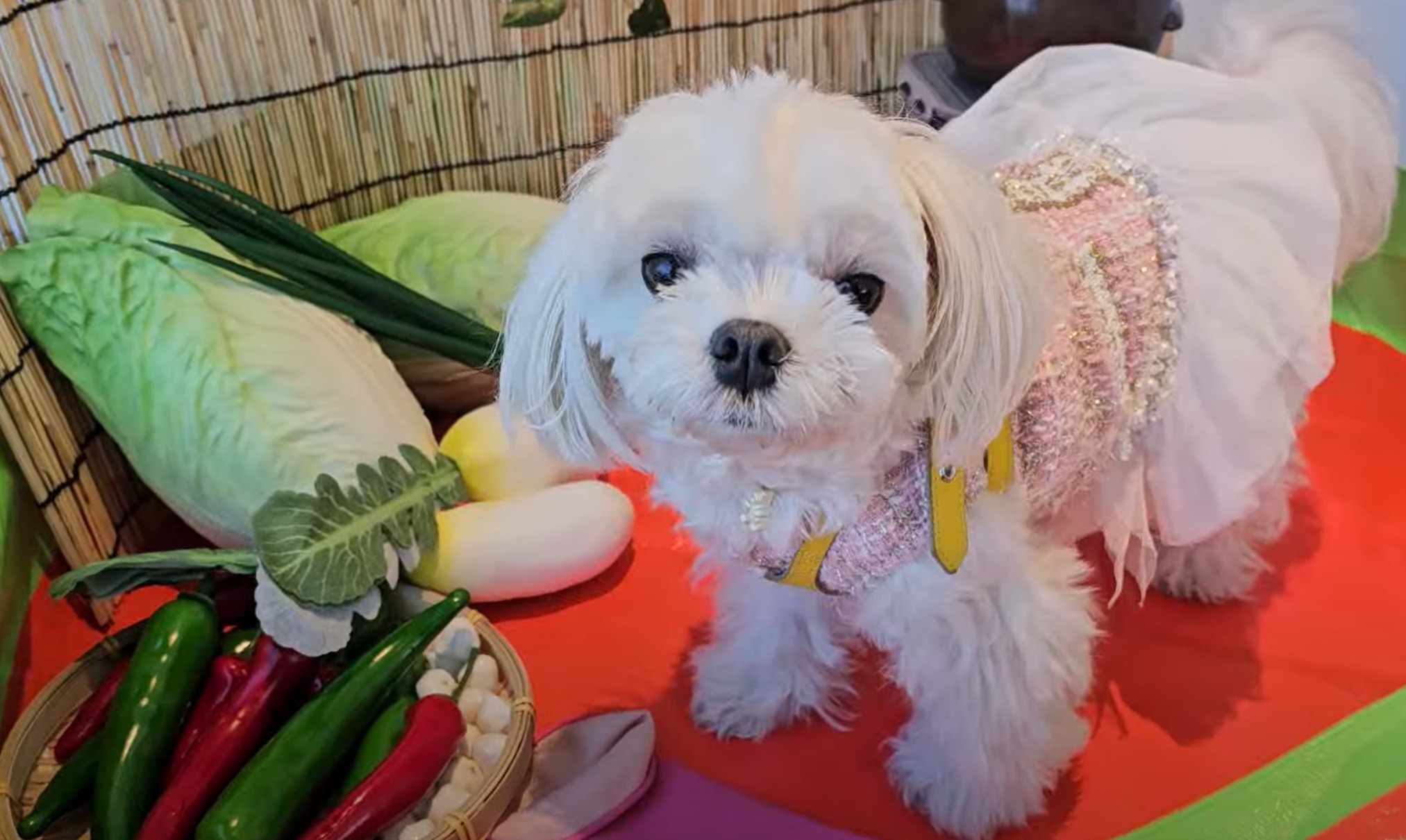 조댕이네 카페 포토존 