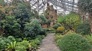 화성_우리꽃식물원_국화전시회