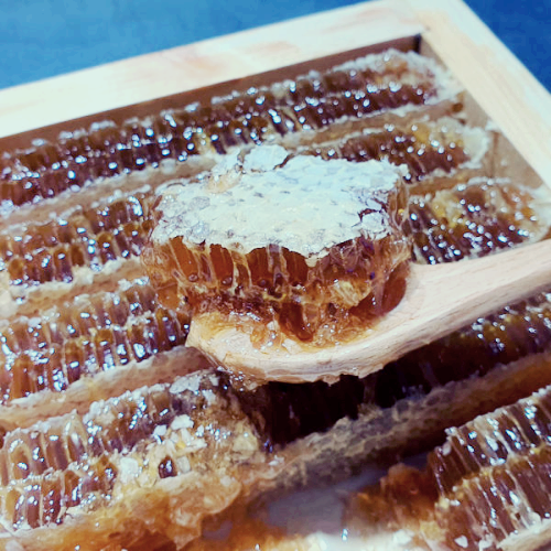 프로폴리스 효능