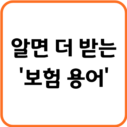보험 용어
