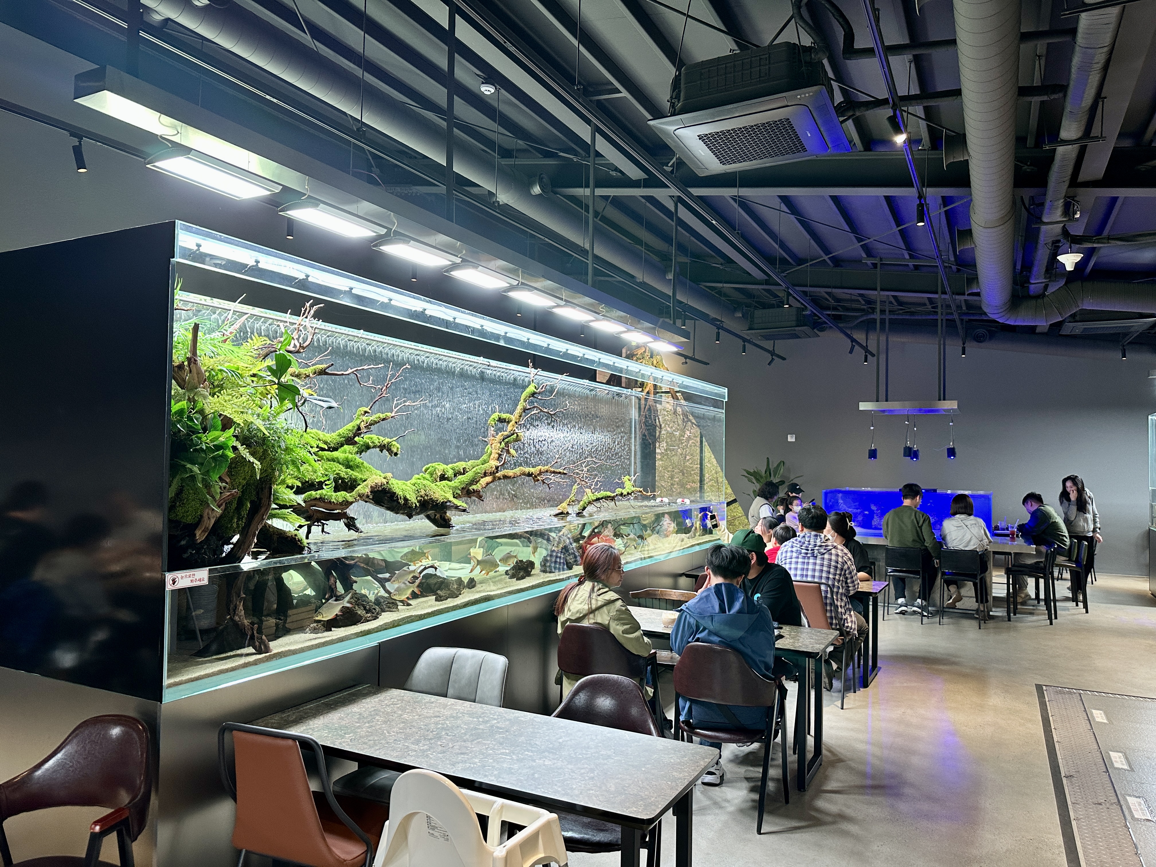 춘천 카페리움 수족관