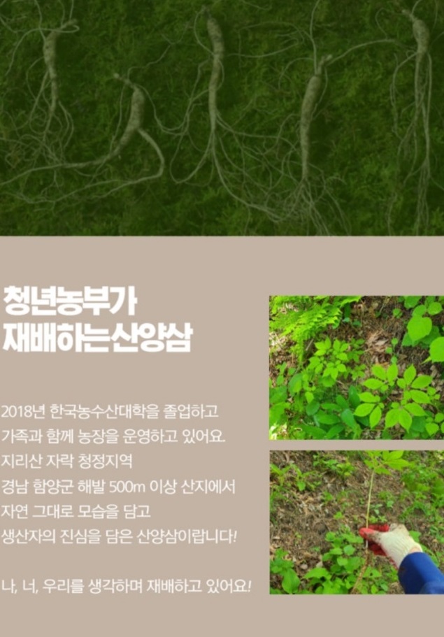 함양-오봉산-산양삼-3대가족-힐링팜
