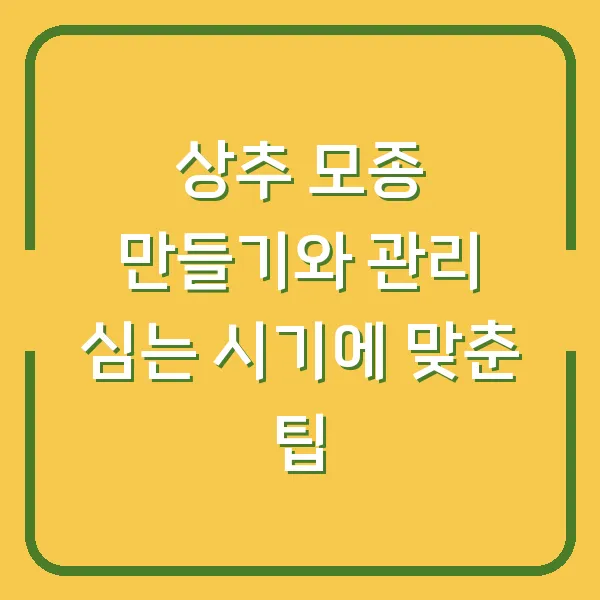 상추 모종 만들기와 관리 심는 시기에 맞춘 팁