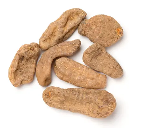 천마 효능효과 및 부작용