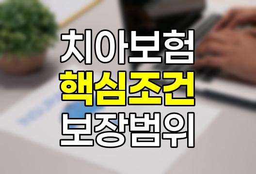 치아보험 핵심 조건과 보장범위 해설