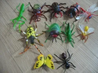 곤충과 동물의 차이점 생물 분류 기준과 이해 돕기_15