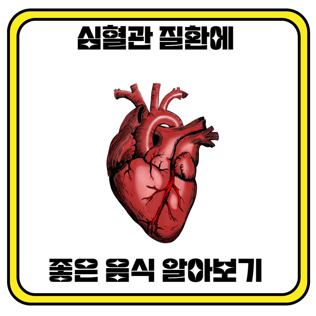 심혈관 질환에 좋은 음식