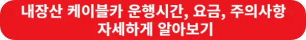 내장산-케이블카-이용방법-자세하게-알아보기