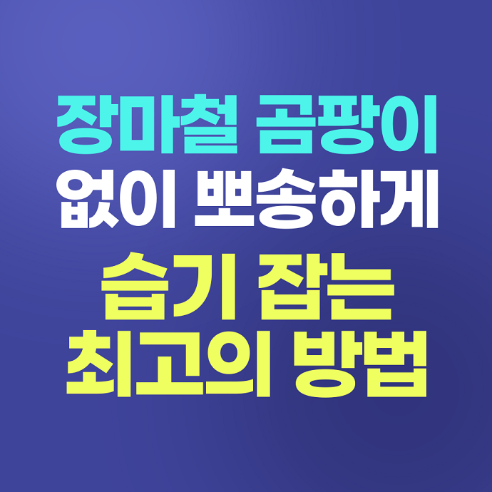 장마철 곰팡이 잡기. 습기잡는법