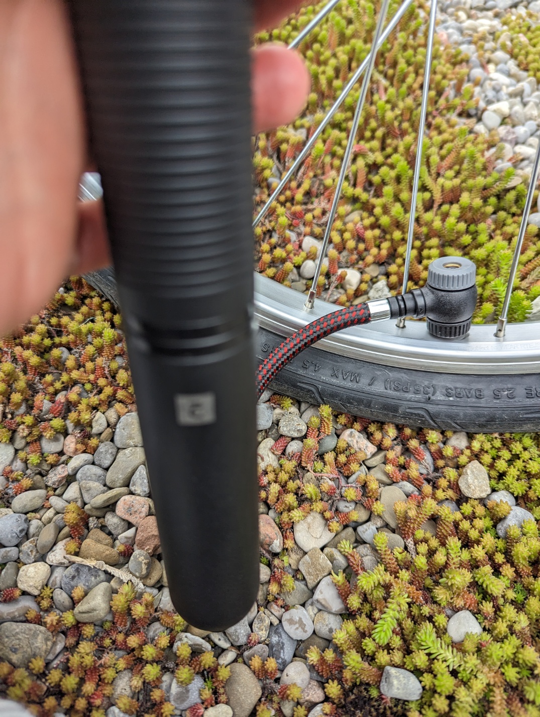 슈레더 방식 펌프