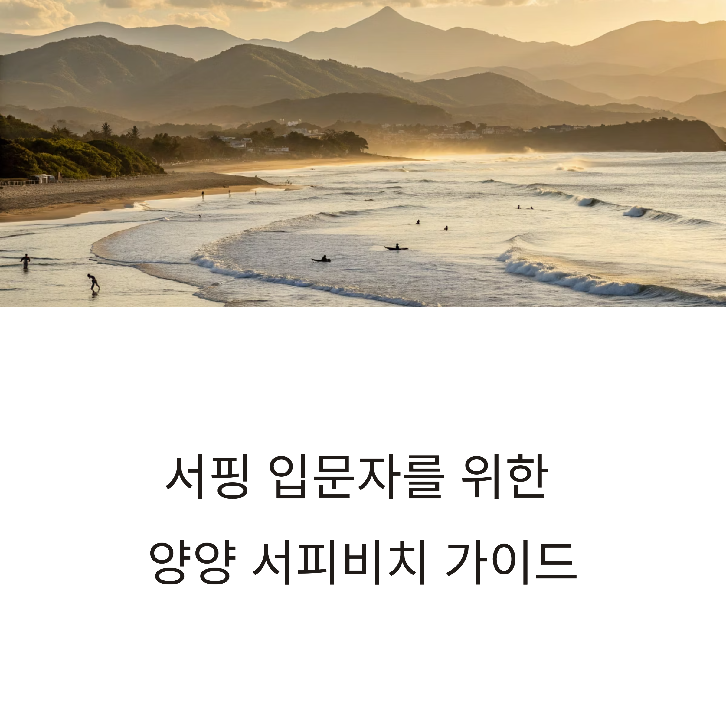 양양 서피비치에서 서핑 입문